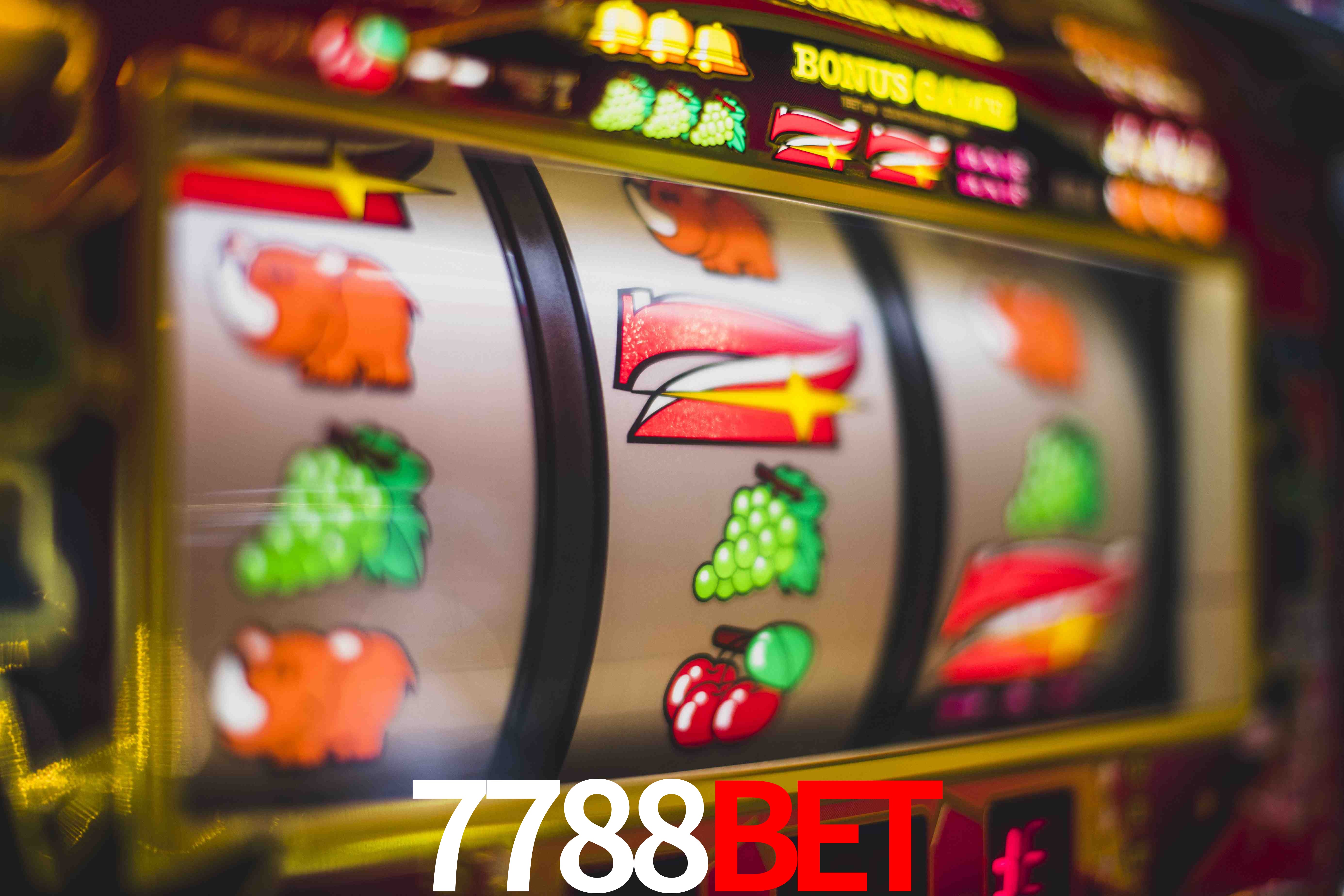 VIP Casino 7788bet
